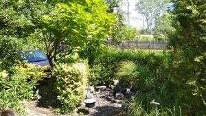 Xiaomi Redmi 4X teszt - PowerTech.hu Xiaomi Redmi 4X teszt - PowerTech.hu